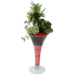 Arrangement In Trompetenvase Topf-Ø Ca. 15 Cm