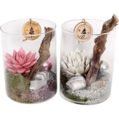 Weihnachtsarrangement Im Glasgefäß Topf-Ø Ca. 15 Cm