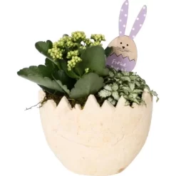 Oster-Arrangement Im Beton-Ei Topf-Ø Ca. 20 Cm