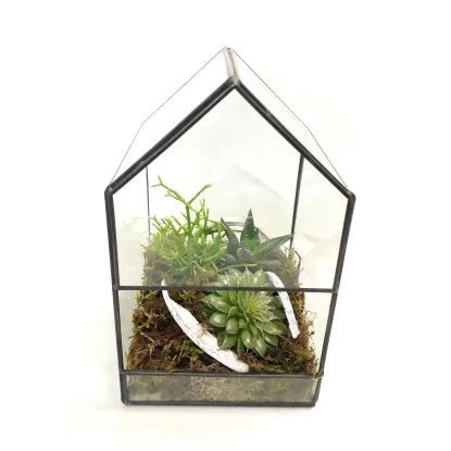 Grünpflanzen-Arrangment Im Glas-Haus Topf-Ø Ca. 18 Cm 1 Grünpflanzen-Arrangment Im Glas-Haus Topf-Ø Ca. 18 Cm