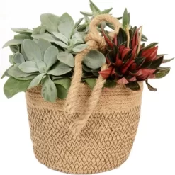 Grünpflanzen-Arrangement Im Jute-Gefäß Topf-Ø Ca. 18 Cm