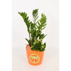 Pflanzen-Arrangement Im Keramik-Gefäß Verschiedene Farben Topf-Ø Ca. 18 Cm -Schwingen Sie Ihre Topfpflanzen. 8719194201262 4883 3