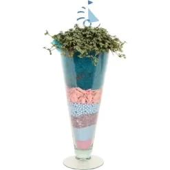 Kanonierblume In Glasvase Topf-Ø Ca. 11 Cm Pilea