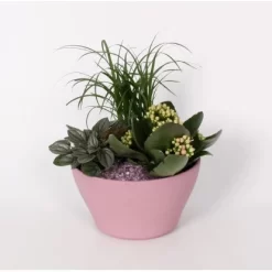 Pflanzen-Arrangement Im Keramik-Gefäß Topf-Ø Ca. 16 Cm -Schwingen Sie Ihre Topfpflanzen. 8719194201675 4883 3