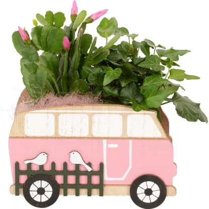 Pflanzen-Arrangment Im Holz-Bus Topf-Ø Ca. 16 Cm 1 Pflanzen-Arrangment Im Holz-Bus Topf-Ø Ca. 16 Cm