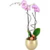 Orchideen-Arrangement In Kugelkeramik Topf-Ø Ca. 15 Cm