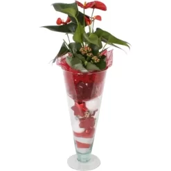 Weihnachtliches Pflanzen-Arrangement In Glasvase Topf-Ø Ca. 12 Cm