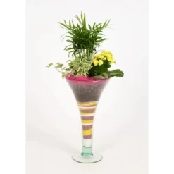 Pflanzen-Arragement In Trompetenvase Topf-Ø Ca. 16 Cm